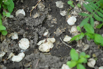 buildings grafiti and unfinishing