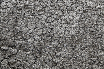 Dry soil due to drought