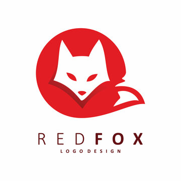 Red Fox by hooman khaj on Dribbble