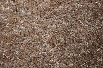 texture of hay
