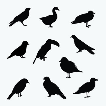 set of birds silhouettes