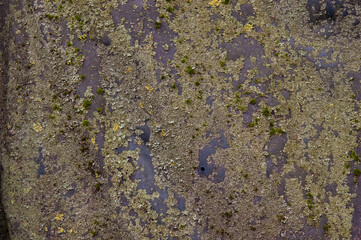 dirty grunge cracked paint texture