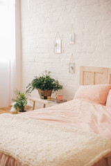 Bedroom in light pastel colors with wooden bed, table and green house plants