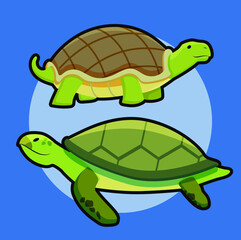 Tortuga de mar y tierra Ilustración vectorial