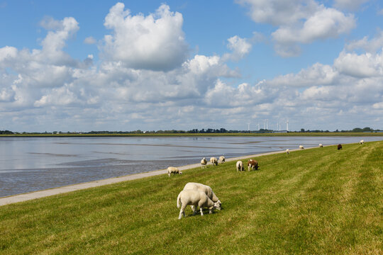 Nordsee zwischen Wilhelmshaven und Dangast am Jadebusen