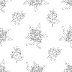 Vector seamless pattern wih sandala wood plant