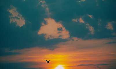 Obraz premium sunset over the sea