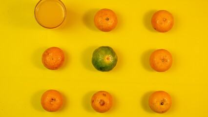 the composition of citrus fruits and glass of syrup made from fresh orange juice to drink in depok, West Java on July, 2022