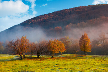 countryside scenery at sunrise. fog glowing in morning light above the forest on the grassy meadow. magical autumn landscape in mountains beneath a blue sky with clouds