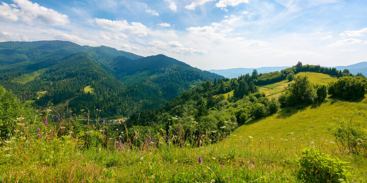 mountain landscape on a sunny day. summer vacation in carpathian countryside. grassy meadows and forests on rolling hills beneath a blue sky