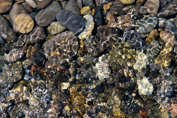 Colorful stones in the water at the bottom of the sea. Background. Nature.