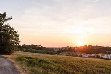 Bibbona bei Sonnenuntergang vor Meer