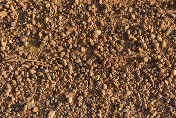 The texture of gravel scattered on the ground.