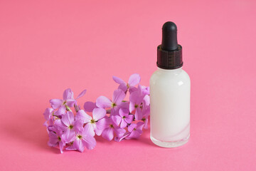 Obraz na płótnie Canvas cosmetic serum for skin care in a transparent dropper bottle on bright pink background copy space top view mock up