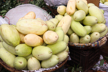 Muskmelon stock on shop for sell