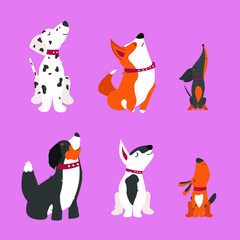 Obraz premium Flat style vector illustration. Six cute dogs of different breeds (Dalmatian, Bernese Mountain Dog, Dachshund, Corgi, Bull Terrier). Dogs are located on an isolated green background.