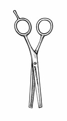 Hairdressing scissors ink sketch.