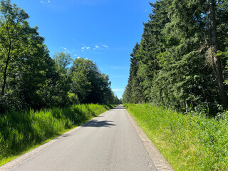 Road through the kuinderbos