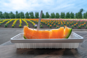 富良野でメロン食べるいイメージ