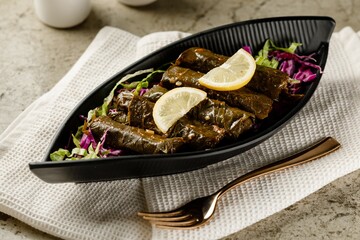 Vine leaves wraps served in a dish isolated on grey background side view fast food