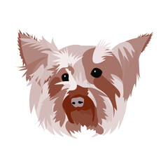 Head of Yorkshire Terrier. Vector illustration of a dog breed York. Popular mini dog breed. Isolated white background. Print on clothes, cups. Illustration on the theme of pets.