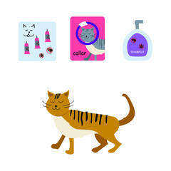 Flea and Tick Topical Solutions. Shield for cats. Repels and kills flea and tick.