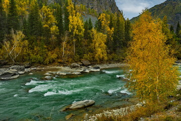 Russia. The South of Western Siberia, Altai Mountains. Only in the middle of autumn, when the mountain glaciers stop melting, the water in the Chuya River becomes transparent and rich turquoise color.