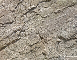 texture of beton tile wallpaper