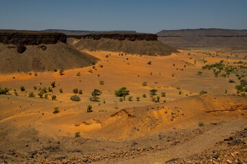 West Africa. Mauritania. Covered by the sands of the Sahara Desert, the valley of a dried-up river near the famous Terzhit oasis.