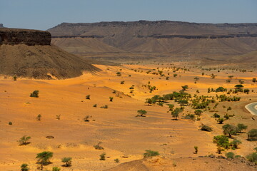 West Africa. Mauritania. Covered by the sands of the Sahara Desert, the valley of a dried-up river near the famous Terzhit oasis.