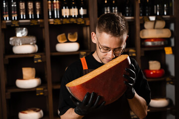 Handsome cheese sommelier holding and sniff limited gouda cheese. Snack tasty piece of cheese for appetizer.