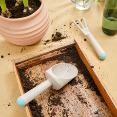 Tools for working with soil in the home garden and plant care, close-up table