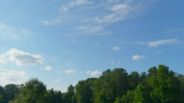 sideways aerial footage of a the tips of tall lush green trees with a gorgeous blue sky with clouds at Dupree Park in Woodstock Georgia USA