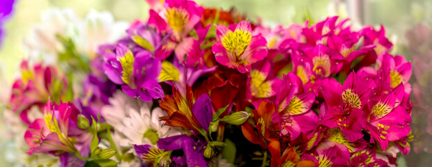 a large bouquet of multi-coloured alstroemerias