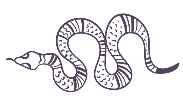 Boho style ornamental magical witchy spiritual snake line art design element. Vector flat graphic design illustration
