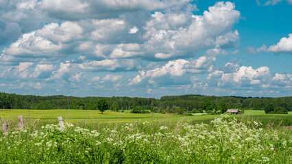 The summer landscape in the countryside. A meadow and a house in the distance.