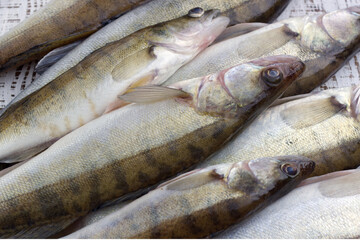 Fototapeta premium Fresh fish on the table