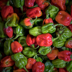 red and green pepper