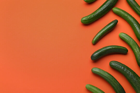 Fresh ripe cucumbers on orange background, flat lay. Space for text