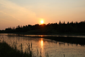 Naklejka premium Sunset By The Water, Pylypow Wetlands, Edmonton, Alberta