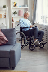 Serious mature gray-haired man with paralyzed legs sitting in wheelchair by window and reading book