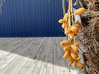 imágenes minimalistas de la naturaleza en un puerto 