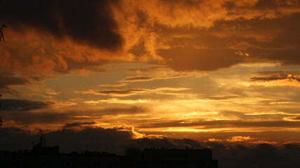 SONY DSC
