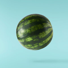 Fresh raw watermelon falling in the air isolated