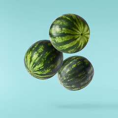 Fresh raw watermelon falling in the air isolated
