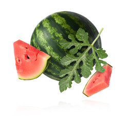 Fresh raw watermelon falling in the air isolated