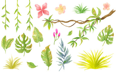 Watercolor collection of jungle plants - liana, leaves, grass and flowers. Watercolor illustration of tropical plants.