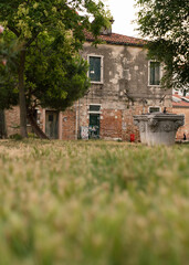 old house facade and tall grass and trees in Venice, Italy 