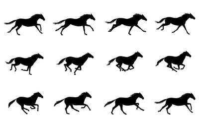 Galloping horse or mustang. Horse running silhouette cycle. Key positions of pony running set. Loop equine gallop motion. Isolated vector hand drawn animation cartoon poses. Equestrian collection - obrazy, fototapety, plakaty