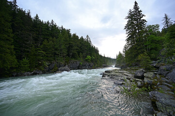 High levels and torrential water flow in McDonald Creek in Glacier National Park, Montana after heavy rains in June.